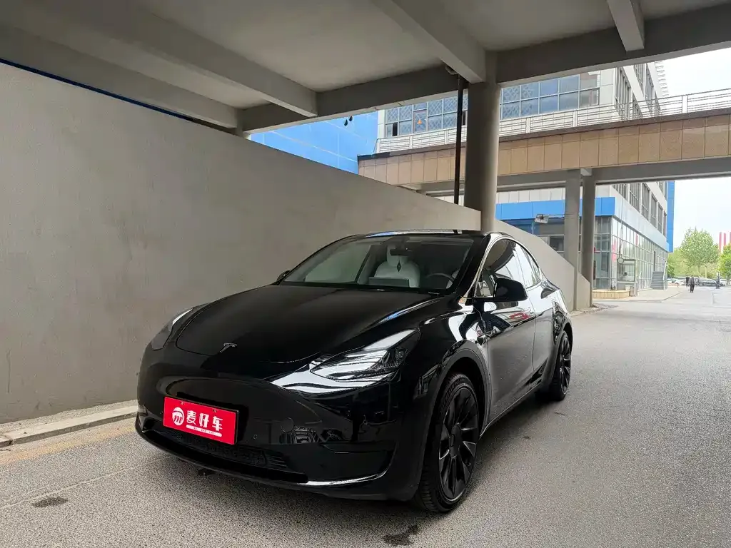 Tesla Model Y — фото 1