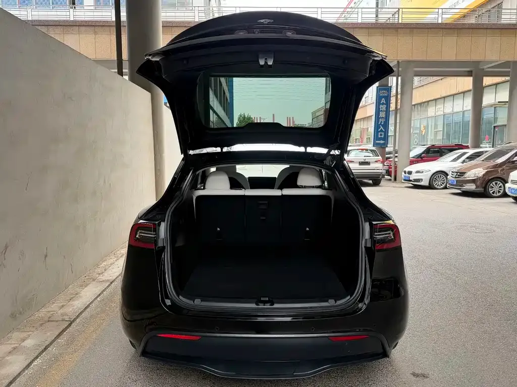 Tesla Model Y — фото 9