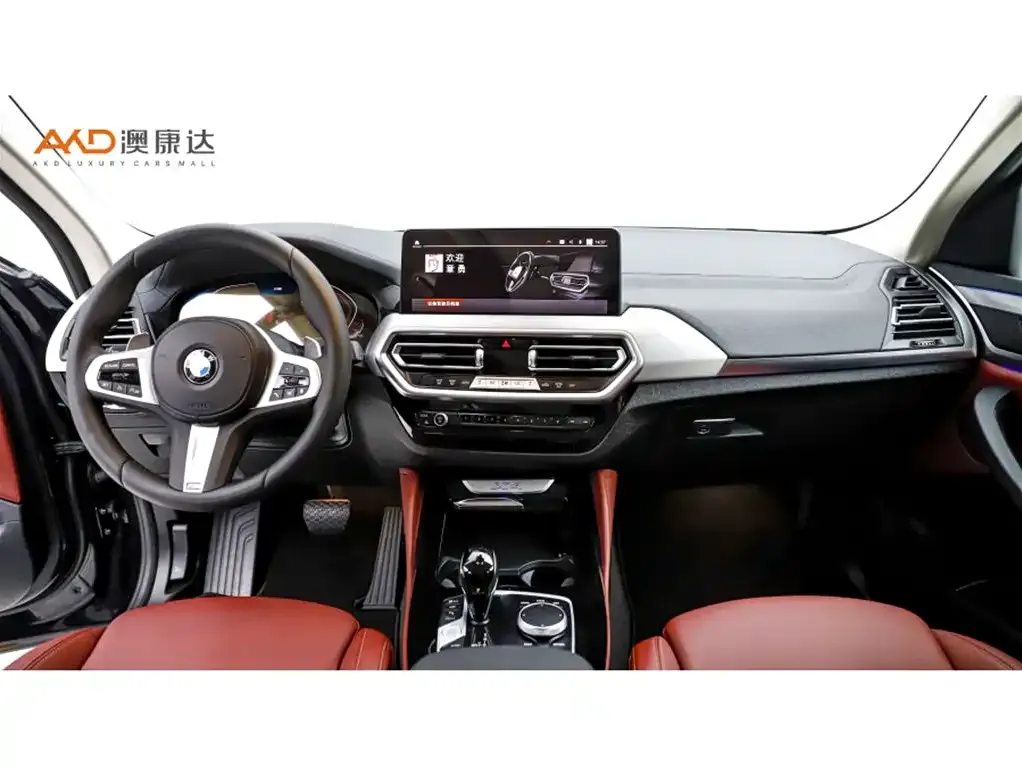 BMW X4 2024 из CN, фото 10