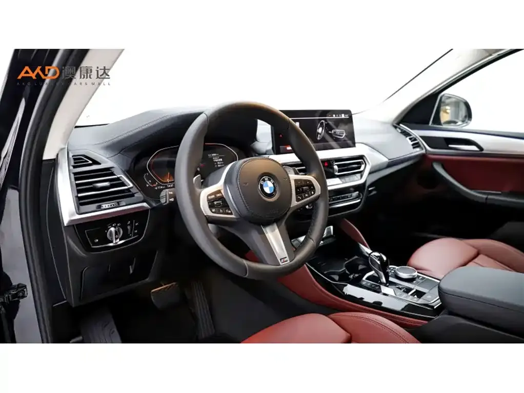 BMW X4 2024 из CN, фото 4
