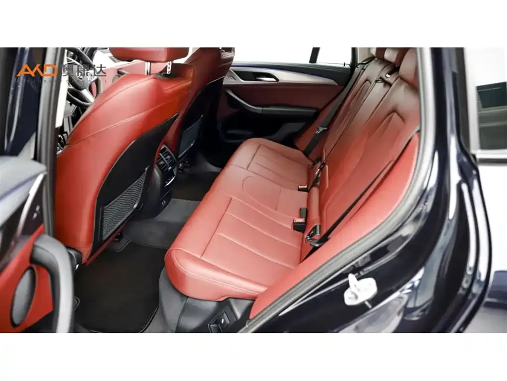 BMW X4 2024 из CN, фото 6