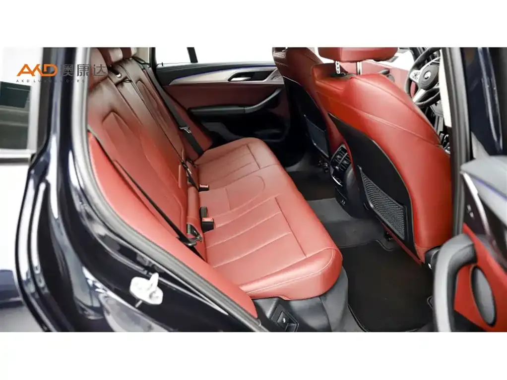 BMW X4 2024 из CN, фото 8