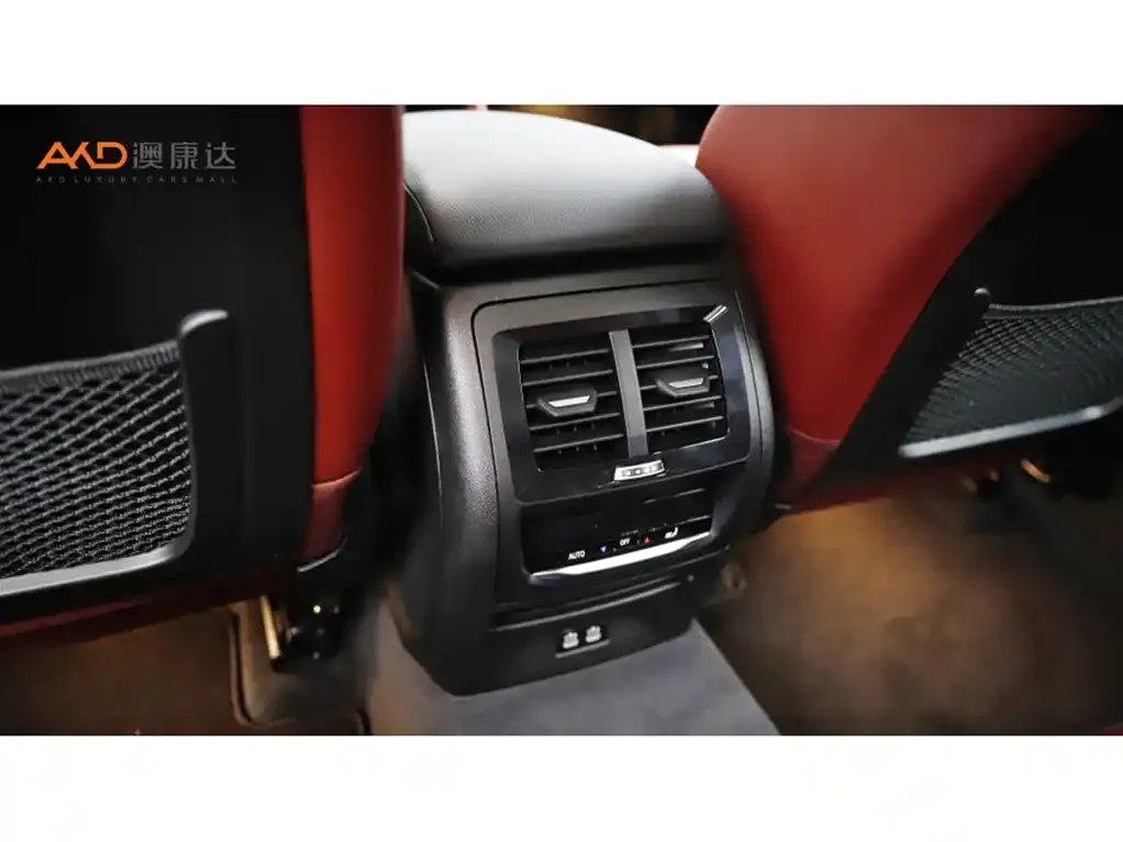 BMW X4 2024 из CN, фото 9