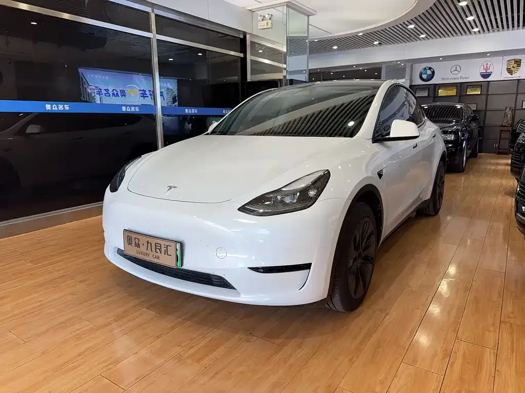 Tesla Model Y — фото 1