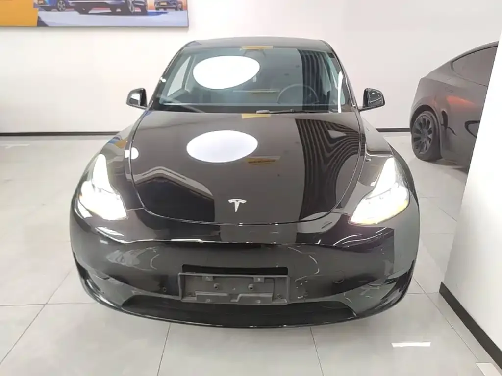 Tesla Model Y — фото 2