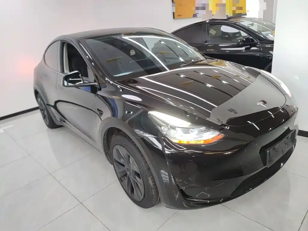 Tesla Model Y — фото 10