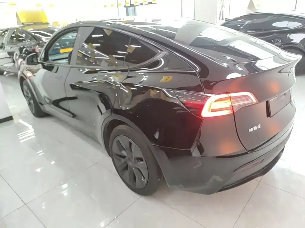 Tesla Model Y — фото 8