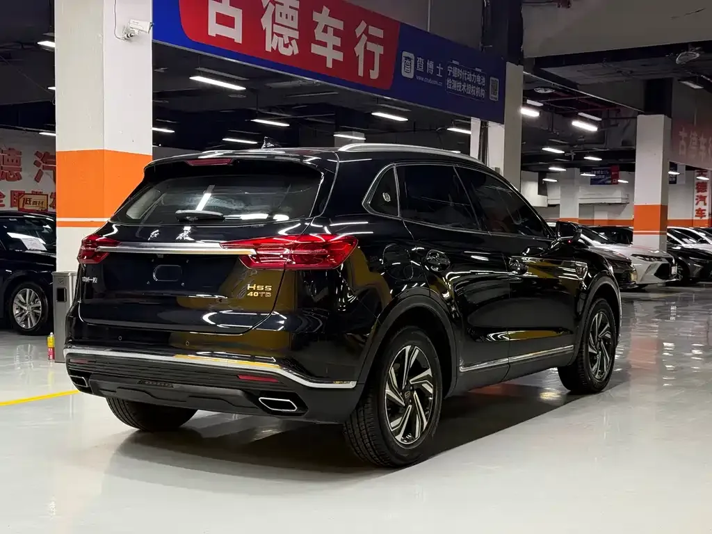 Hongqi HS5 2023 из CN, фото 10