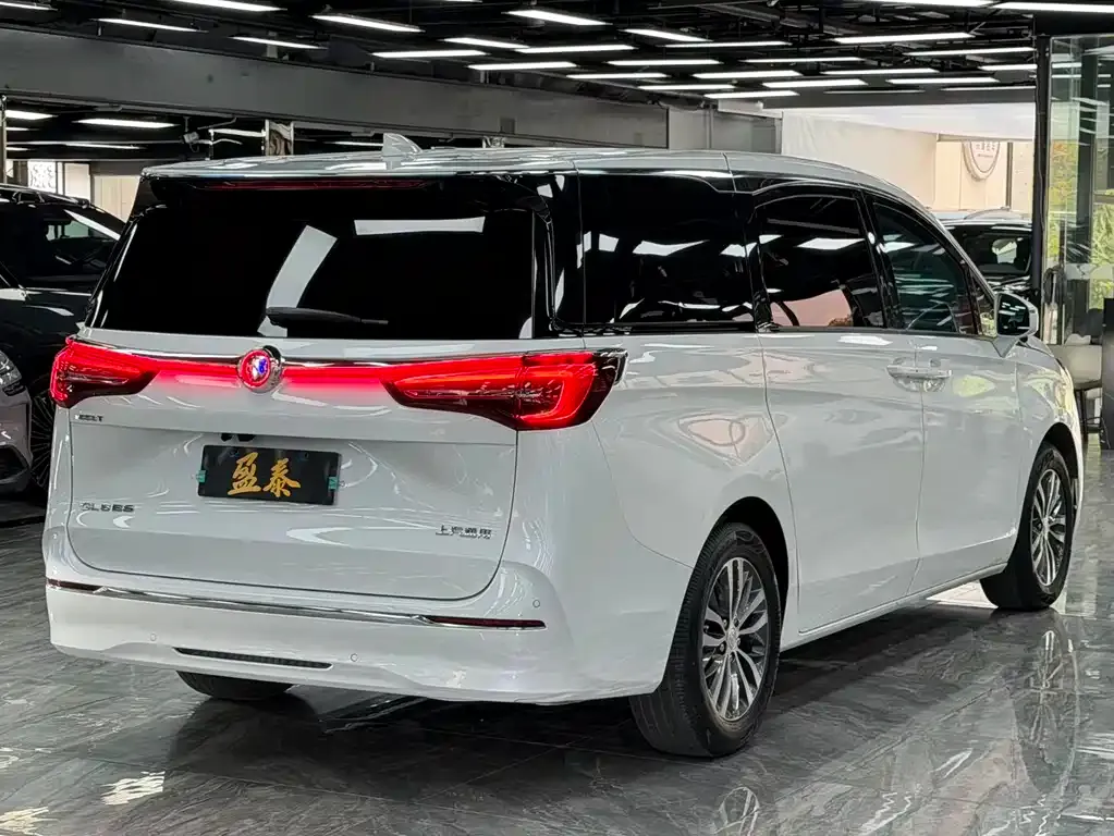 Buick GL8 2023 из CN, фото 4