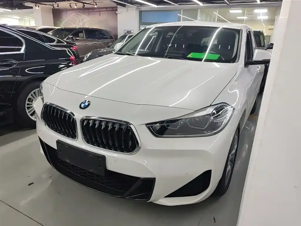 BMW X2 2023 из CN, фото 3