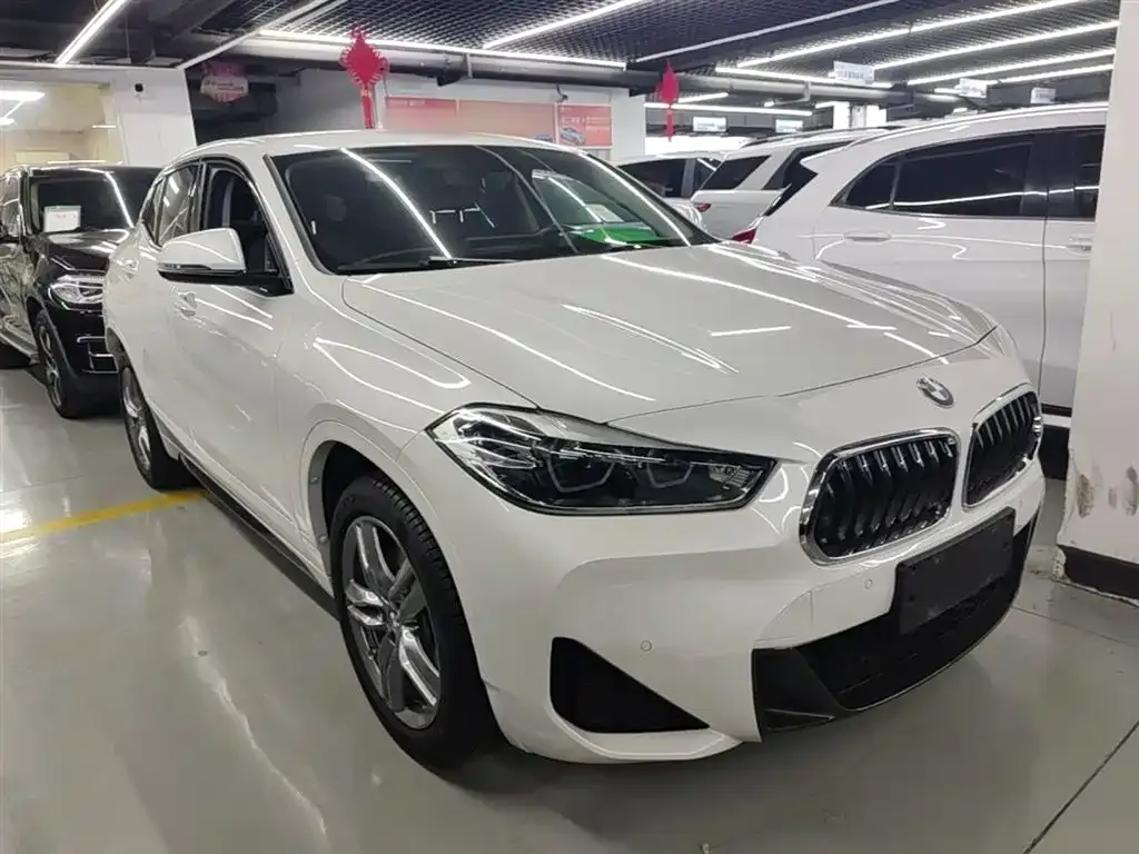 BMW X2 2023 из CN, фото 10