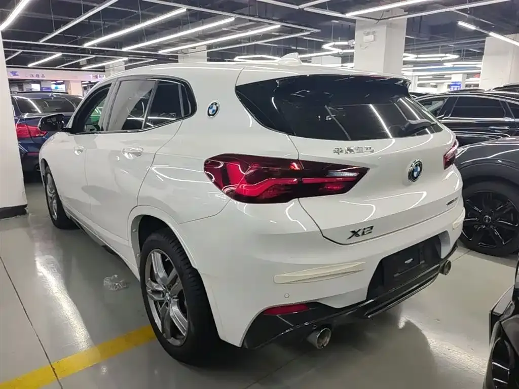 BMW X2 2023 из CN, фото 9