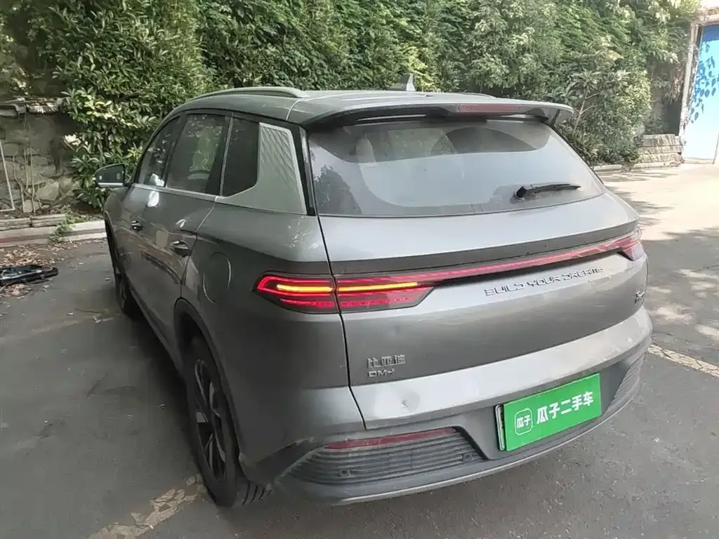 BYD Pro New Energy — фото 10