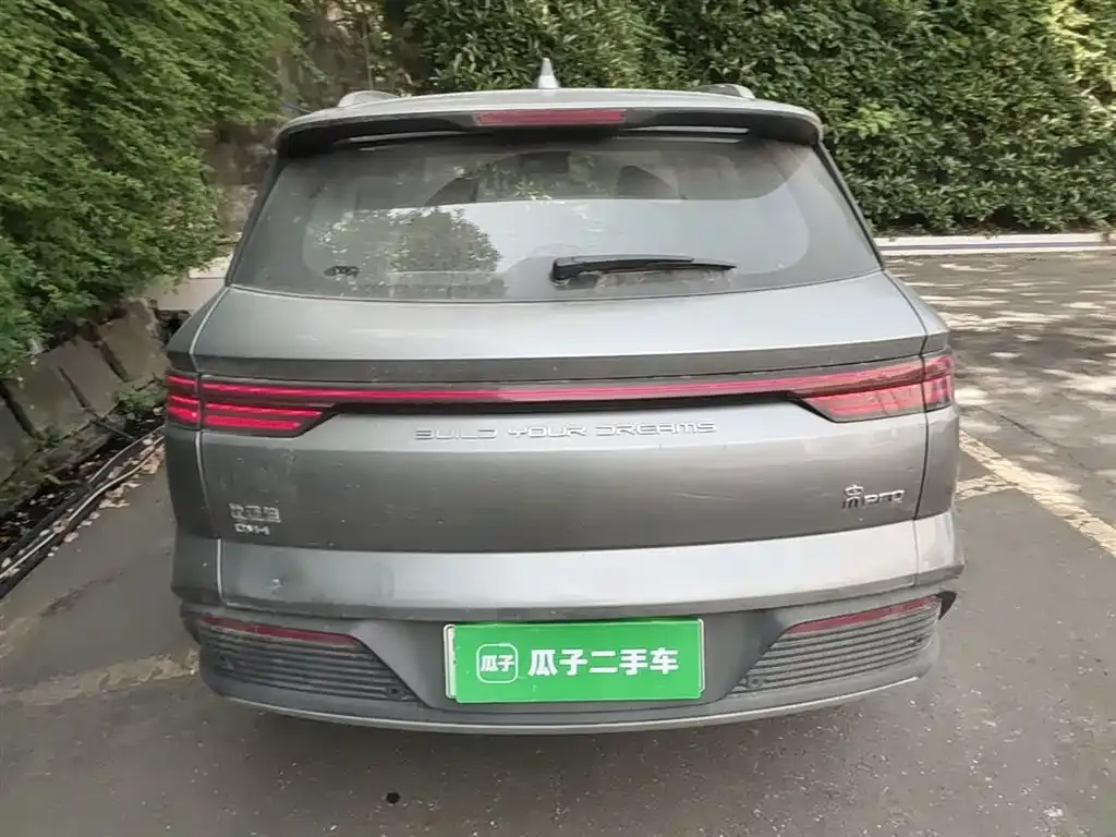 BYD Pro New Energy — фото 4