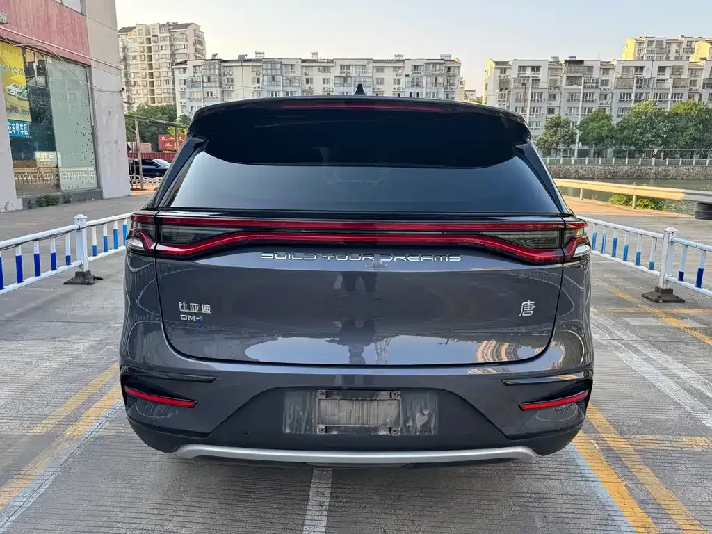 BYD Tang New Energy — фото 2