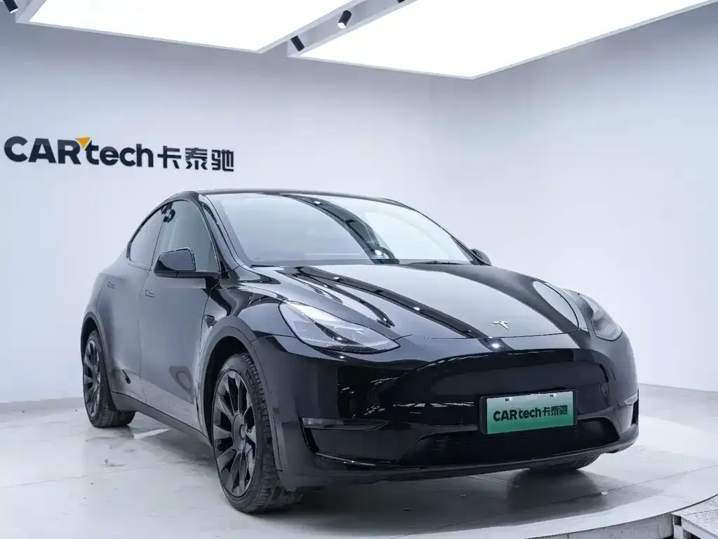 Tesla Model Y — фото 3