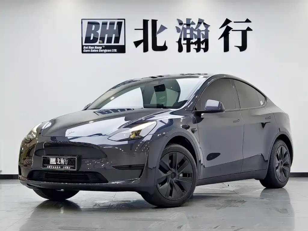 Tesla Model Y — фото 1