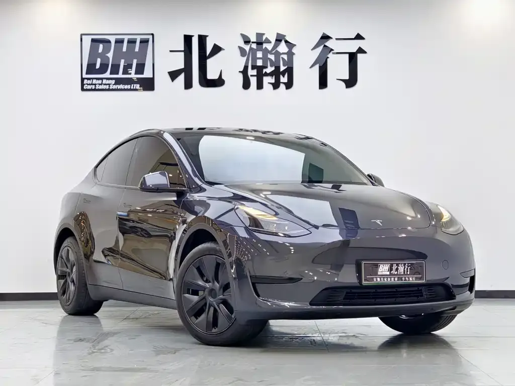 Tesla Model Y — фото 10