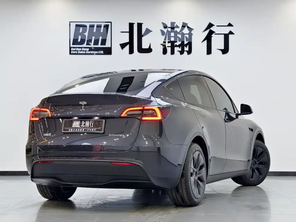 Tesla Model Y — фото 2