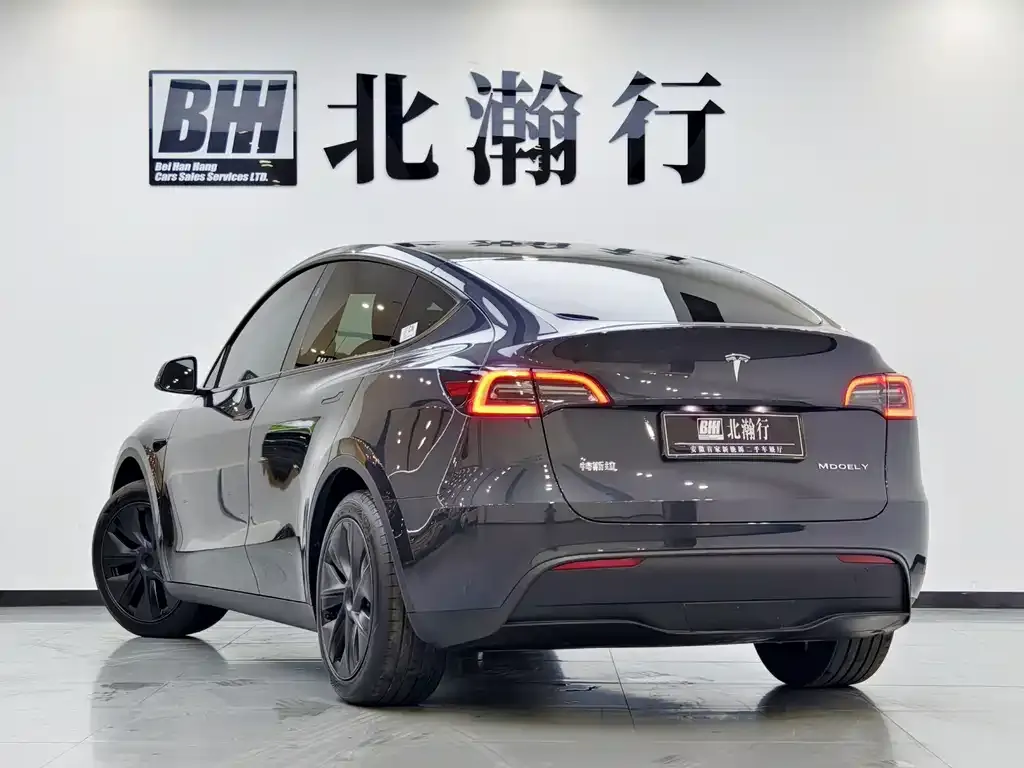 Tesla Model Y — фото 4