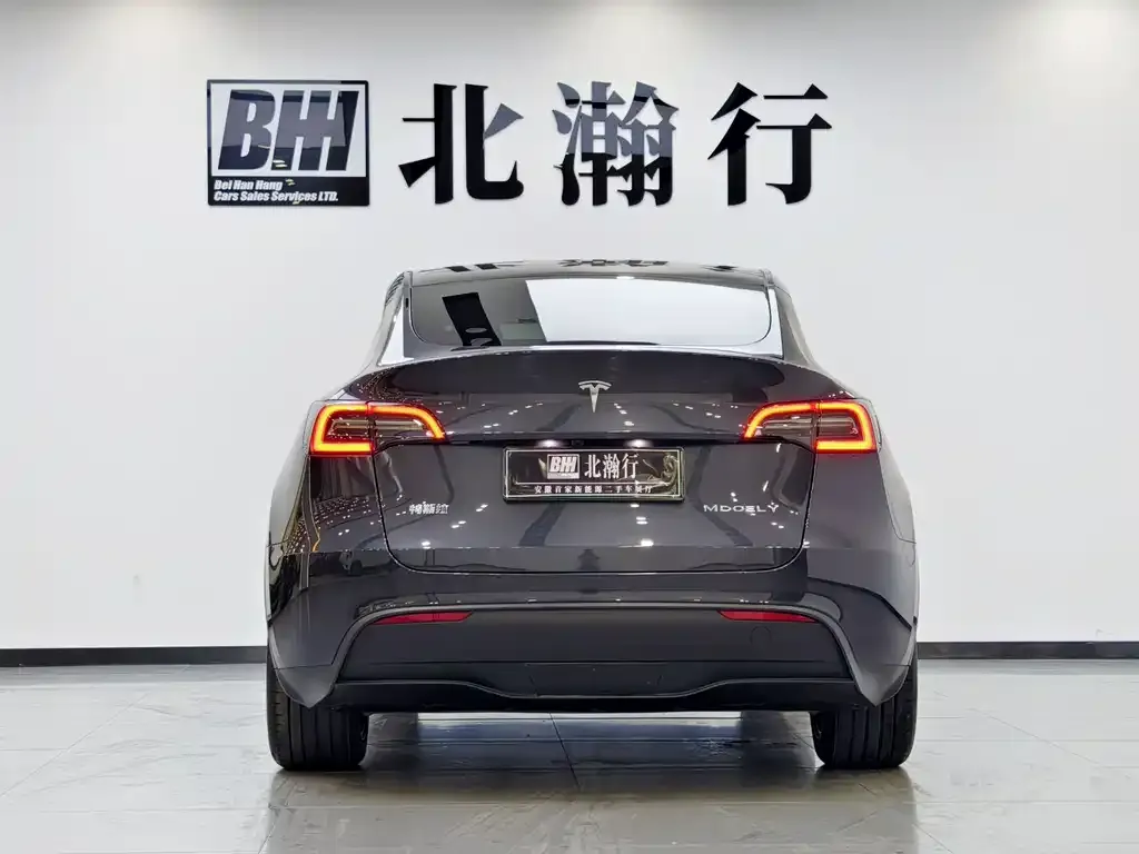 Tesla Model Y — фото 5
