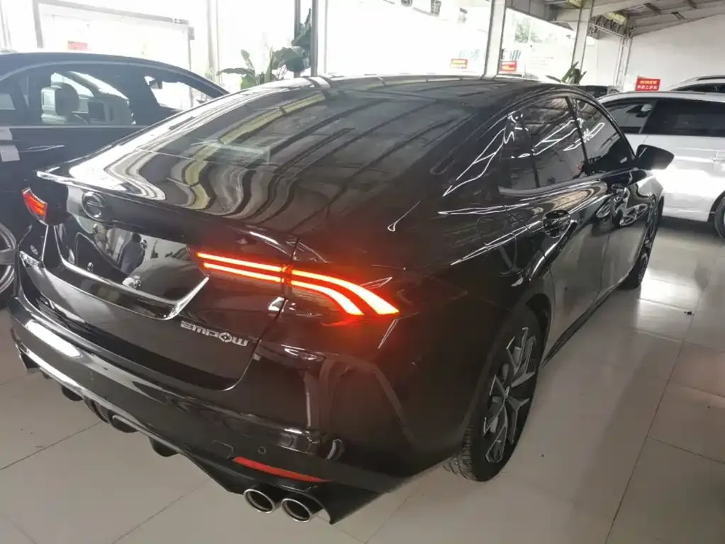 GAC Motor Shadow Leopard — фото 4