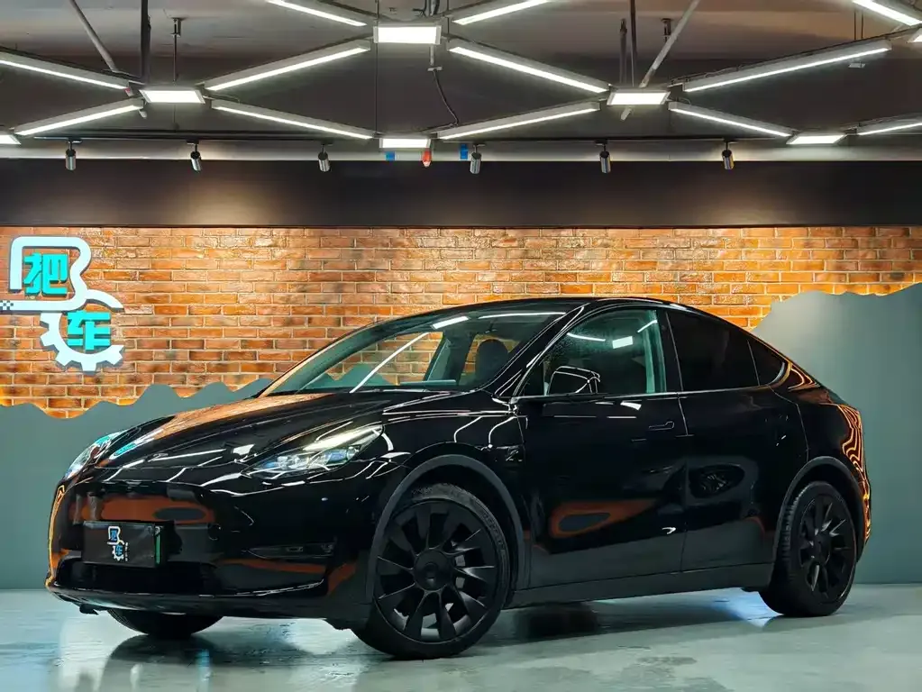 Tesla Model Y — фото 1