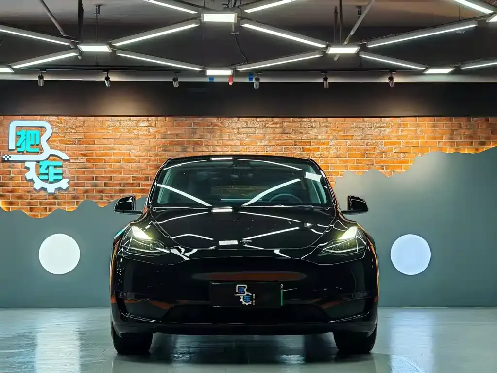 Tesla Model Y — фото 8