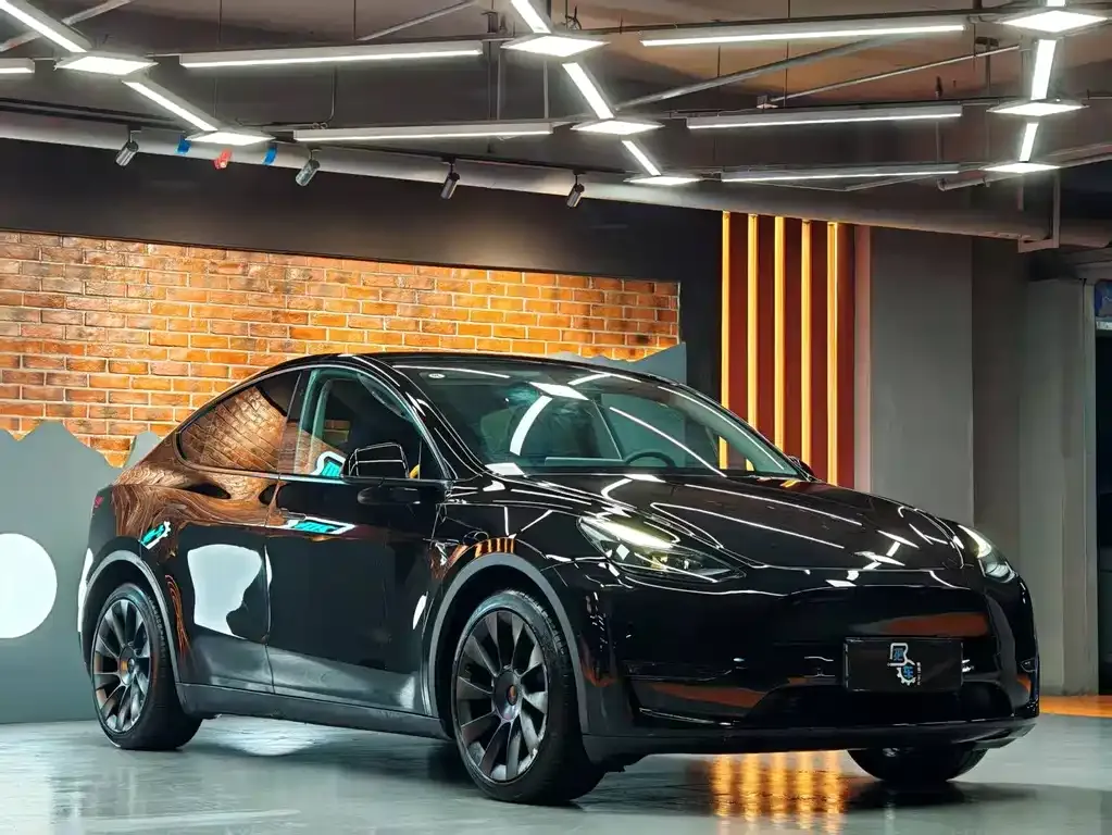 Tesla Model Y — фото 10