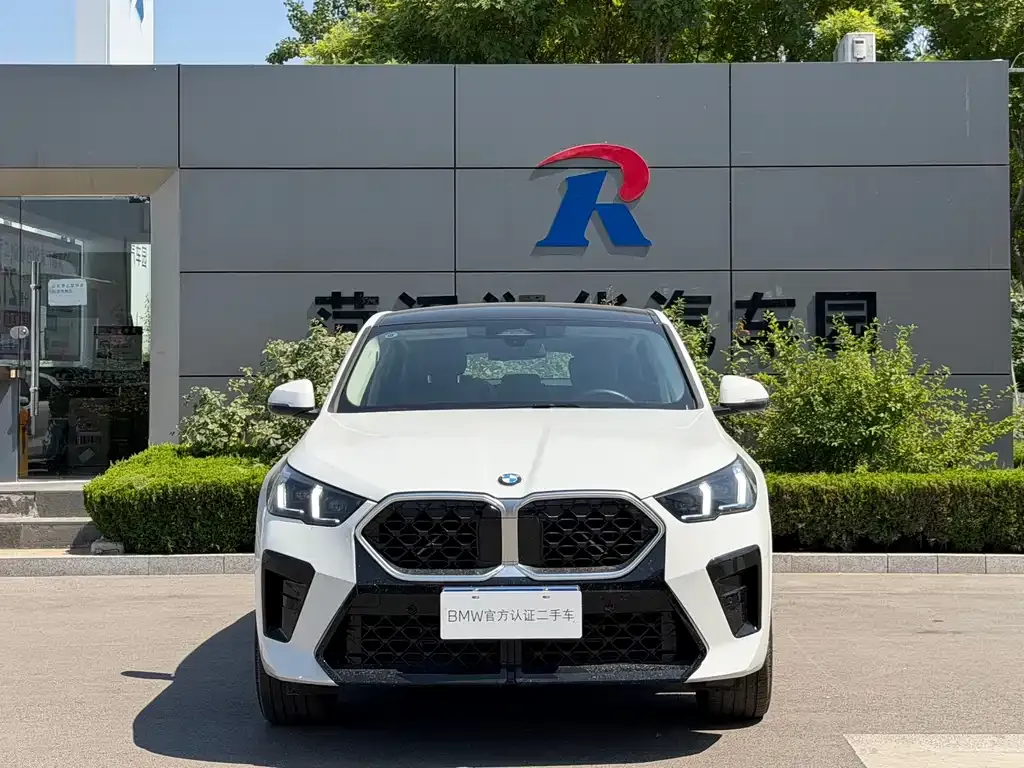 BMW X2 (Import) — фото 1