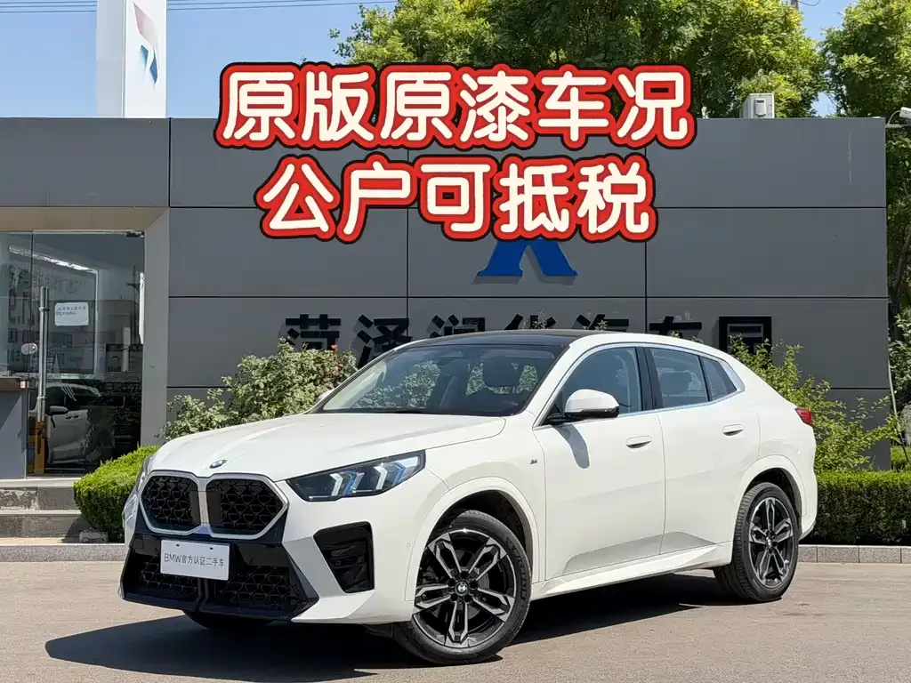 BMW X2 (Import) — фото 9