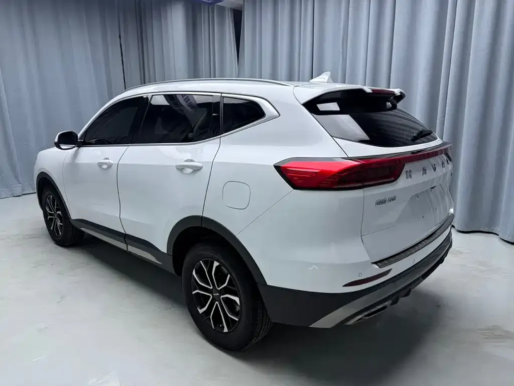 Haval H6 2021 из CN, фото 7