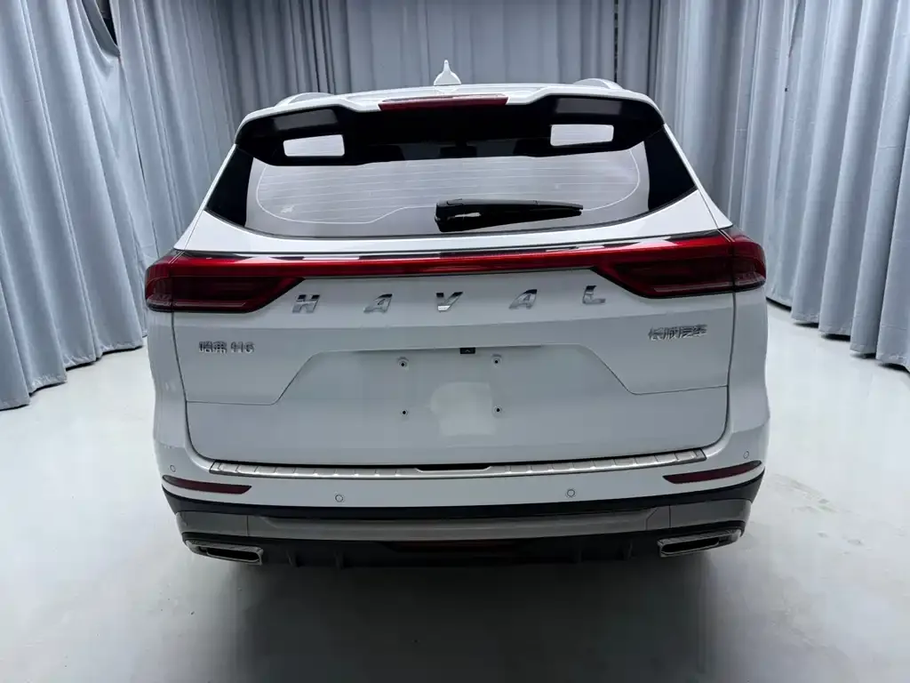Haval H6 2021 из CN, фото 2