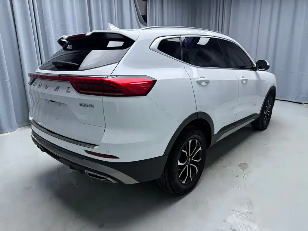 Haval H6 2021 из CN, фото 6