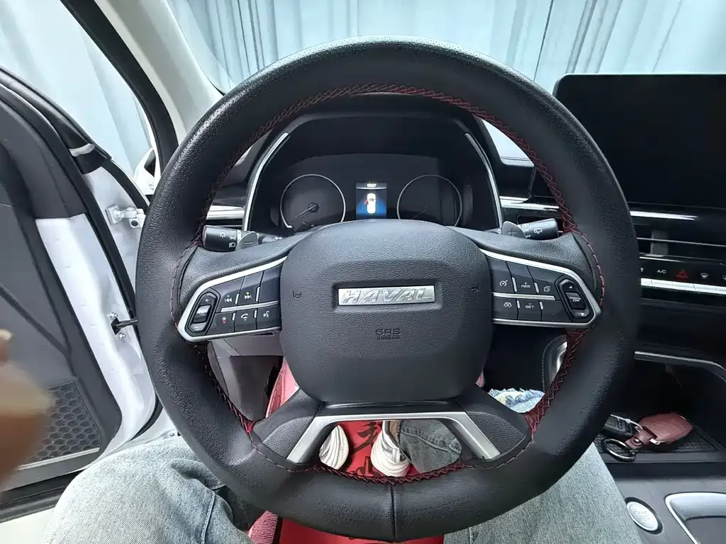 Haval H6 2021 из CN, фото 10