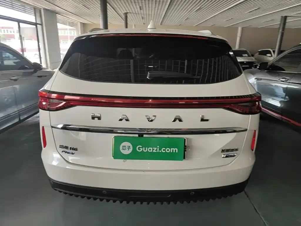 Haval H6 New Energy 2022 из CN, фото 4