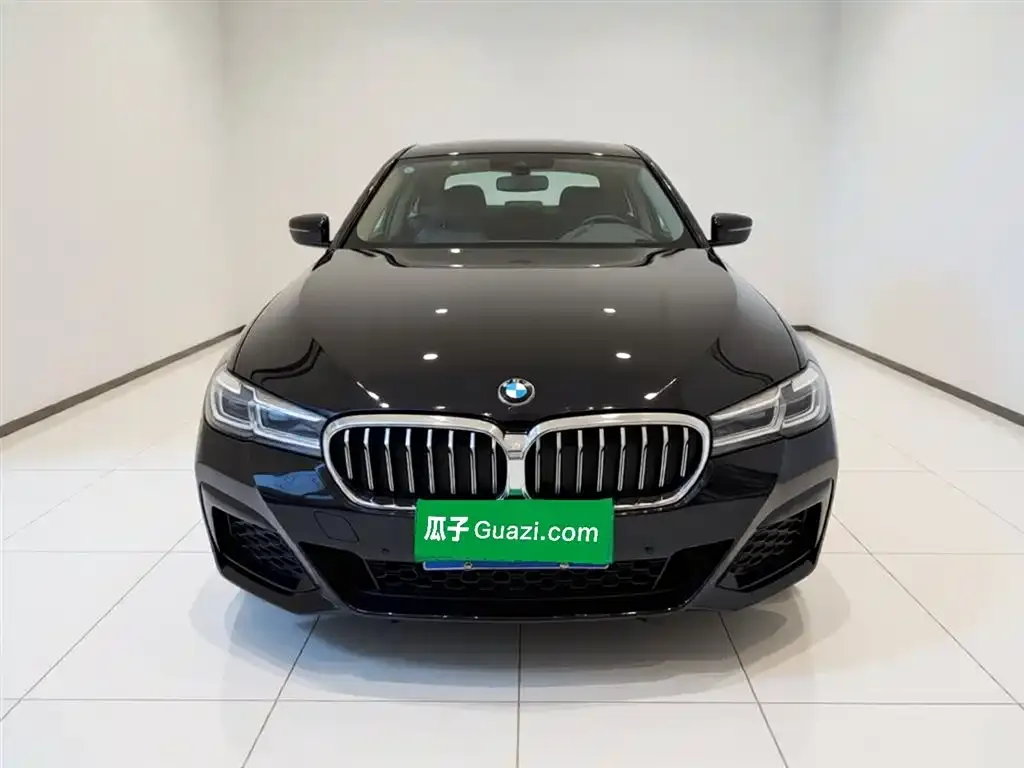 BMW 5 Series 2022 из CN, фото 4