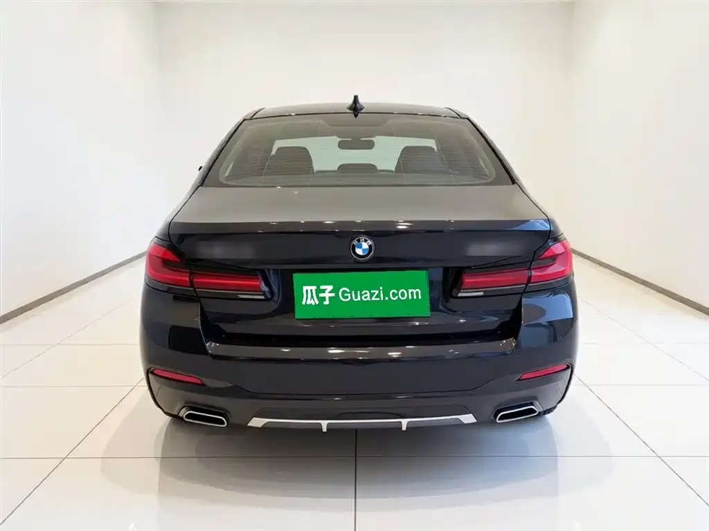 BMW 5 Series 2022 из CN, фото 3