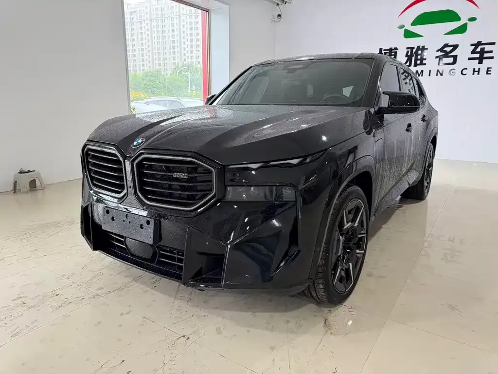BMW XM 2025 из CN, фото 2