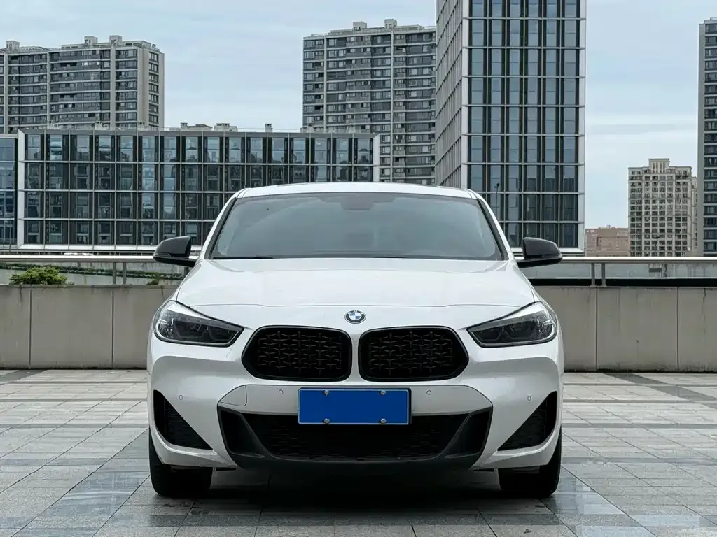 BMW X2 2023 из CN, фото 10