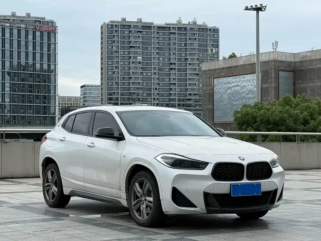 BMW X2 2023 из CN, фото 9