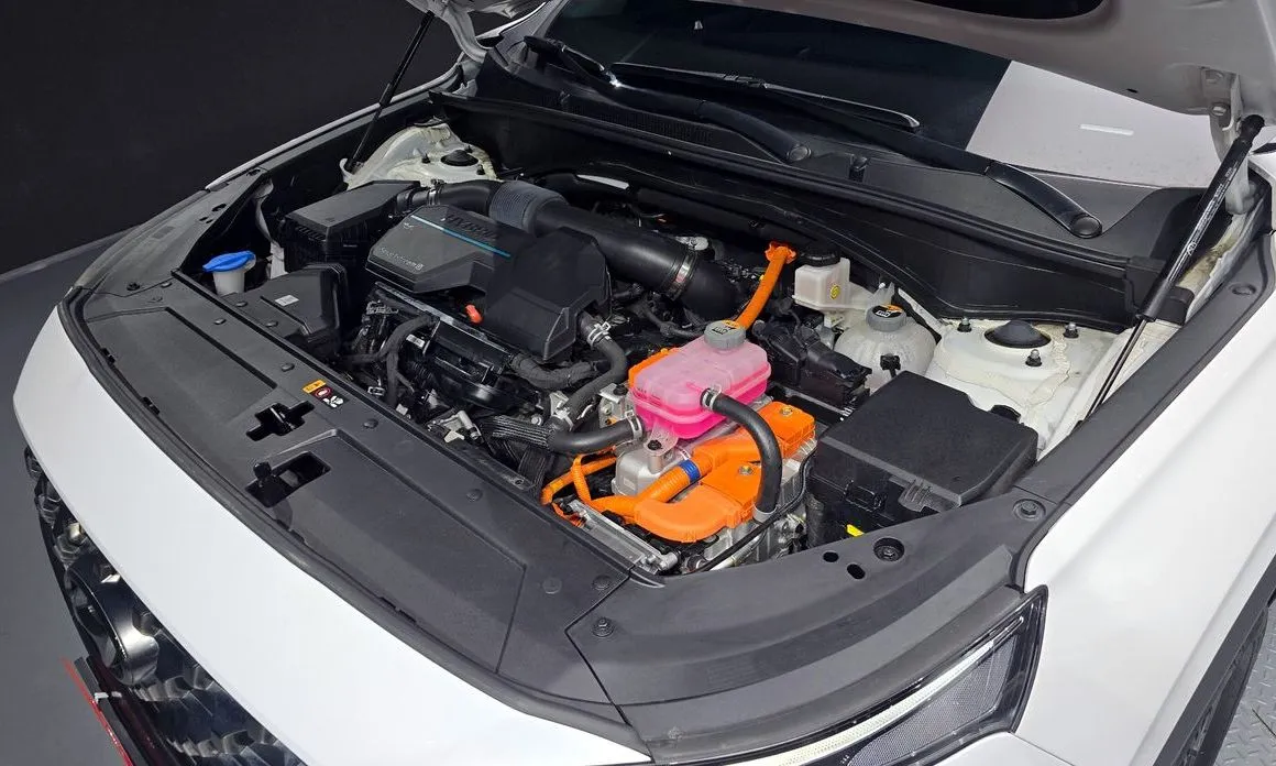 Hyundai Santafe 2022 из KR, фото 7