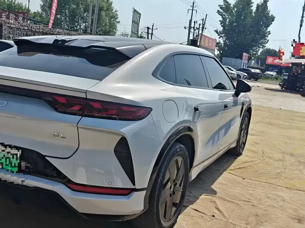 BYD L EV — фото 4