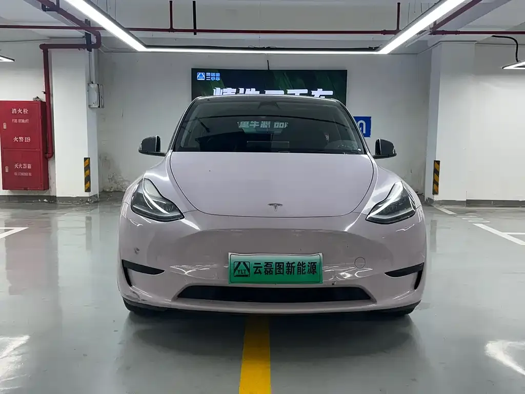 Tesla Model Y 2022 из CN, фото 3