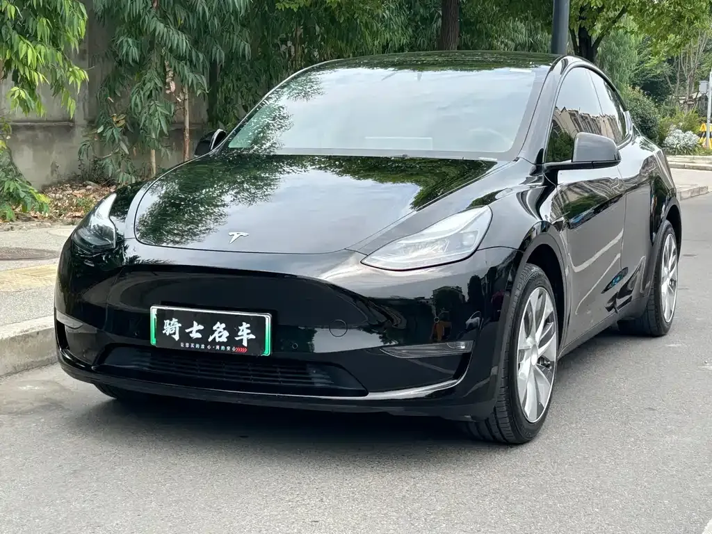 Tesla Model Y — фото 1