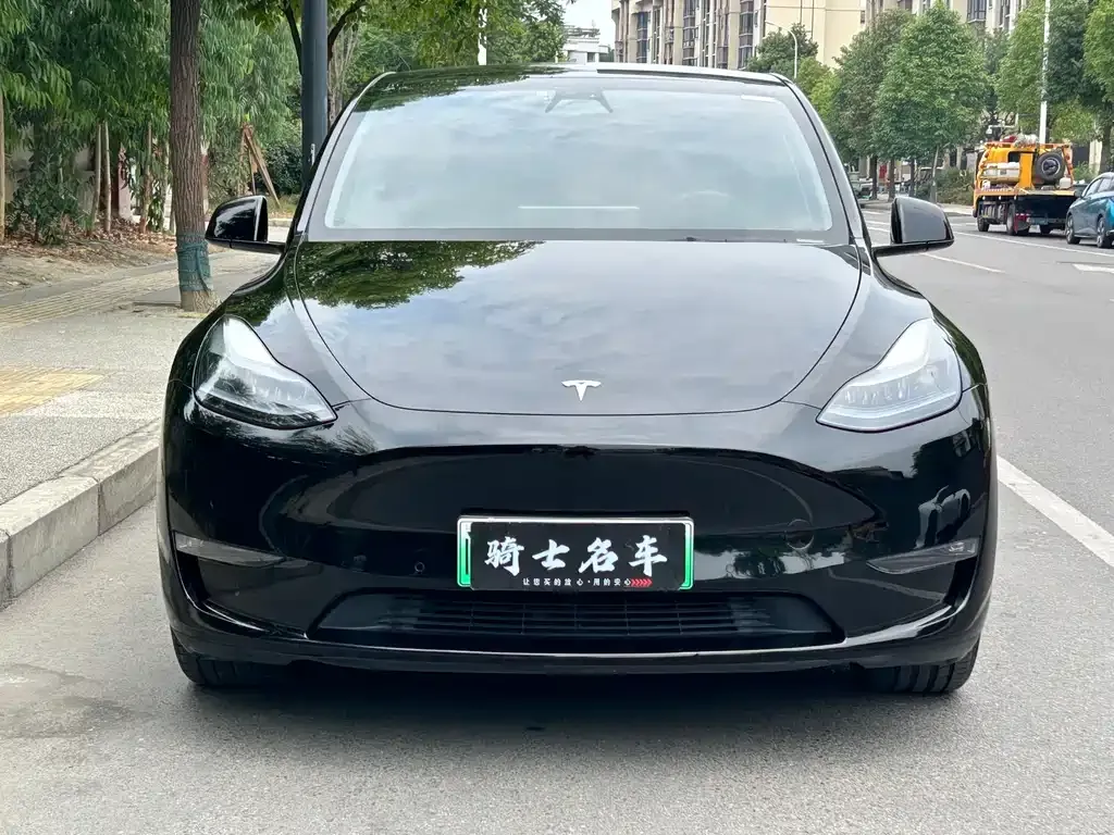 Tesla Model Y — фото 5