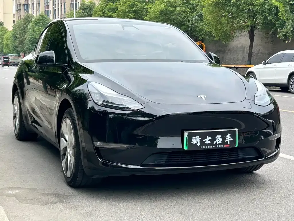 Tesla Model Y — фото 3