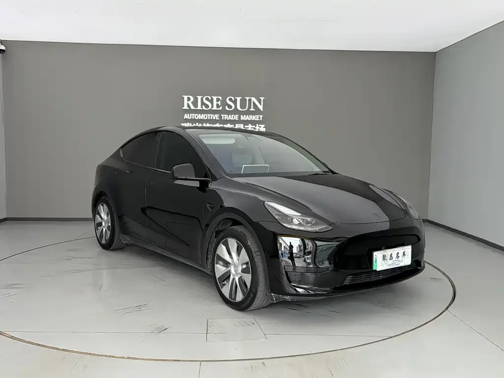 Tesla Model Y — фото 2