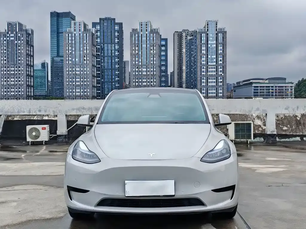 Tesla Model Y — фото 9