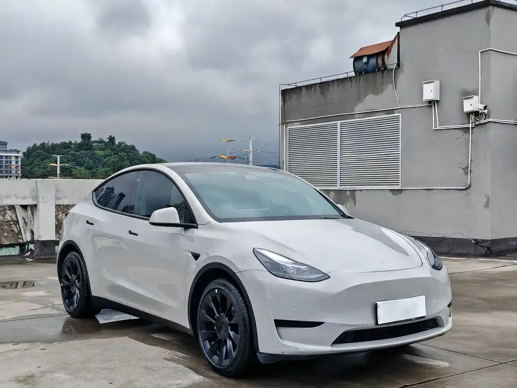Tesla Model Y — фото 2